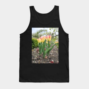 Pink and yellow tulip flowers Tank Top